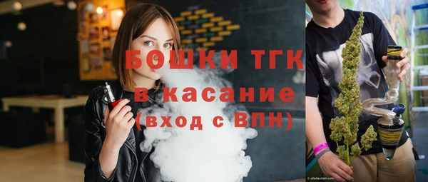 прущие грибы Волосово