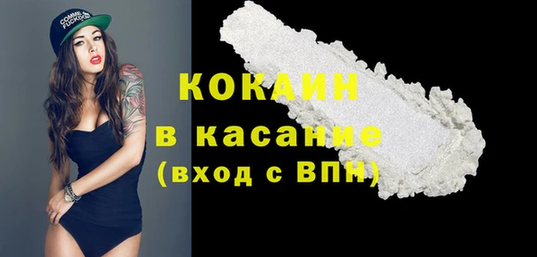 прущие грибы Волосово