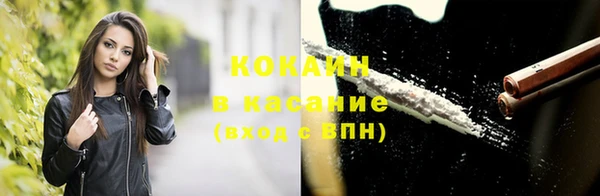 прущие грибы Волосово