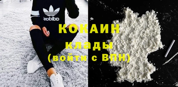 прущие грибы Волосово