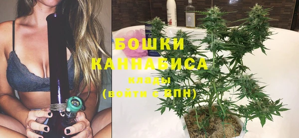 прущие грибы Волосово