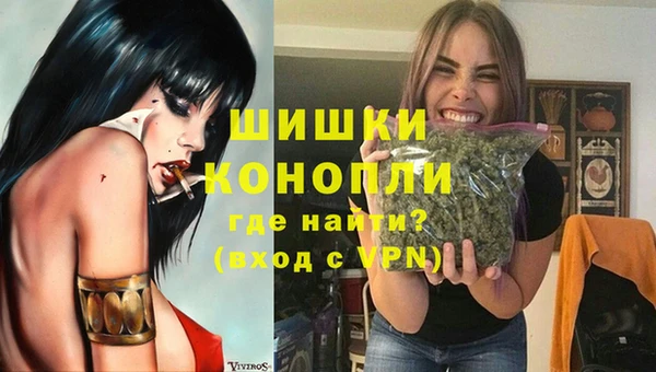 прущие грибы Волосово
