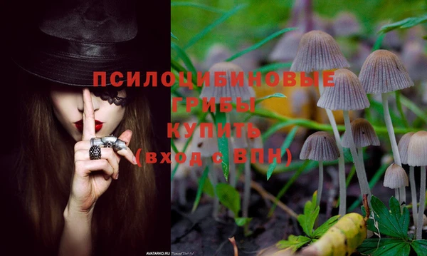 марихуана Волоколамск