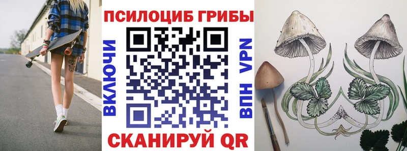 Купить закладки  Дмитров  Галлюциногенные грибы мухоморы 