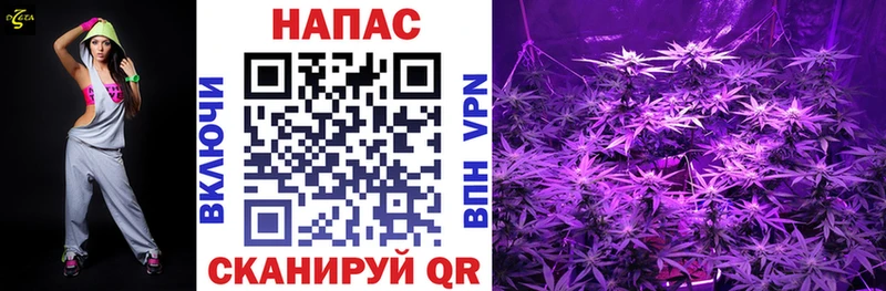 Шишки марихуана тримм  Купить где  Дмитров 